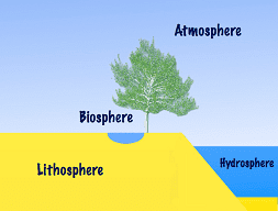 La biosfera está dentro de la litosfera, atmósfera e hidrosfera