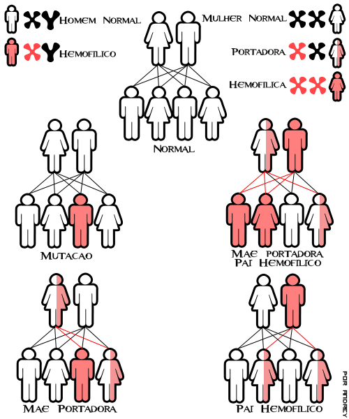 Hemofilia. ¿Cómo se transmite?