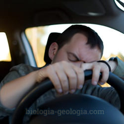 Narcolepsia. Persona dormida al volante de un coche