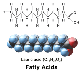 El ácido palmítico es un ácido graso saturada de 16 carbonos.