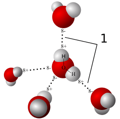Moléculas de agua unidas por enlaces de hidrógeno