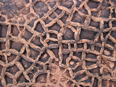 Grietas de desecación