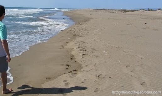Ondulaciones en la playa